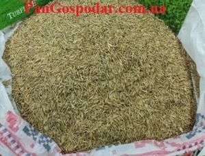 Газонная трава EuroGrass Shade 1 кг (на вес из мешка) ― PanGospodar