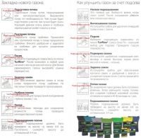 Газонная трава  DLF Trifolium SUN (САН) 20 кг