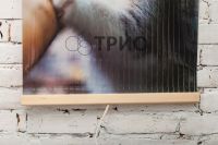 Инфракрасный пленочный обогреватель Трио Котята