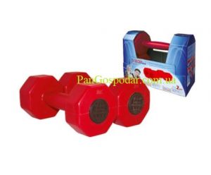 Гантели пластиковые цветные Inter Atletika ST 560.2-2 (2 кг) ― PanGospodar