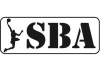 Щит баскетбольный настенный SBA S005