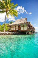 Инфракрасный пленочный обогреватель Трио Бунгало 