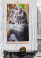 Инфракрасный пленочный обогреватель Трио Котята