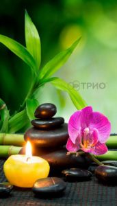 Инфракрасный пленочный обогреватель Трио Гармония ― PanGospodar