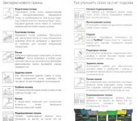 Газонная трава DLF Trifolium Champion (Чемпион) 1 кг