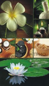 Инфракрасный пленочный обогреватель Трио Лотос ― PanGospodar