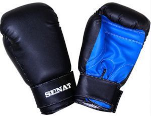 Перчатки боксерские 1512 ― PanGospodar