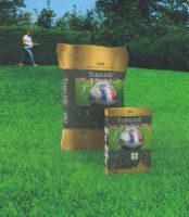 Газонная трава DLF Trifolium 2016 Газон как на стадионах Франции 1 кг