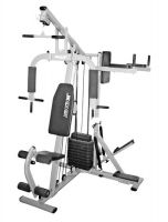 Фитнес станция HG 2082  (+брусья и степпер)(3места)