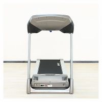 Беговая дорожка Spirit Esprit XT 385