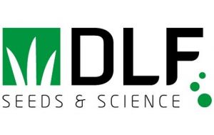 КЛЕВЕР (декоративный) белый ползучий DLF Trifolium 1 кг ― PanGospodar