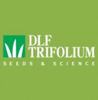 Газонная трава DLF Trifolium PLAYGROUND (Спорт) 20 кг