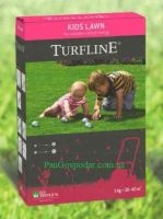 Газонная трава  DLF Trifolium KIDS LAWN (КИДС ЛОУН) 1 кг