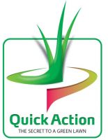 Газонная трава DLF Trifolium SPORT (СПОРТ) 1 кг