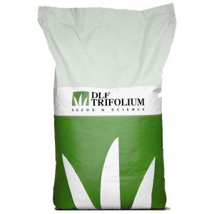 КЛЕВЕР (декоративный) белый ползучий DLF Trifolium 25 кг ― PanGospodar