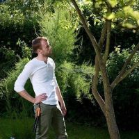 Пила садовая складная Fiskars Xtract SW73 (123870) 1000613